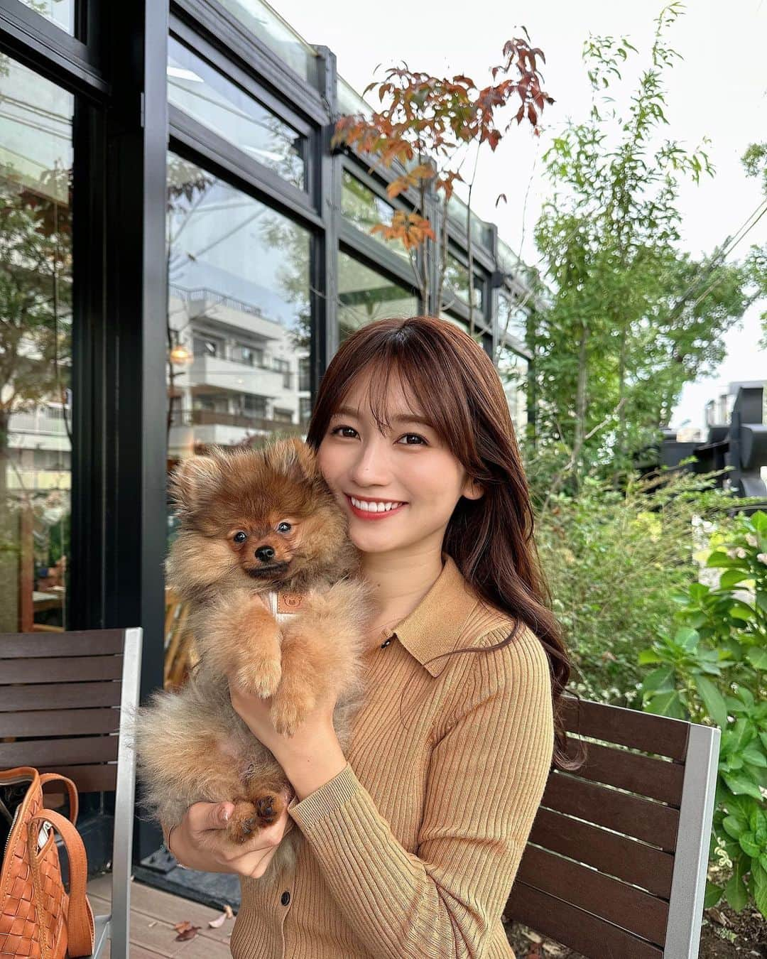 細沼紗花さんのインスタグラム写真 - (細沼紗花Instagram)「.  4ヶ月ぽめっ🐕  お迎えした時から比べると日に日に大きくなってて 毎日がとっても愛おしい、、♡  飼い主にべったり甘えん坊なわんころです🐶  . #ポメ#ポメラニアン #ぽめすたぐらむ」11月8日 18時31分 - sayaka_hosonuma