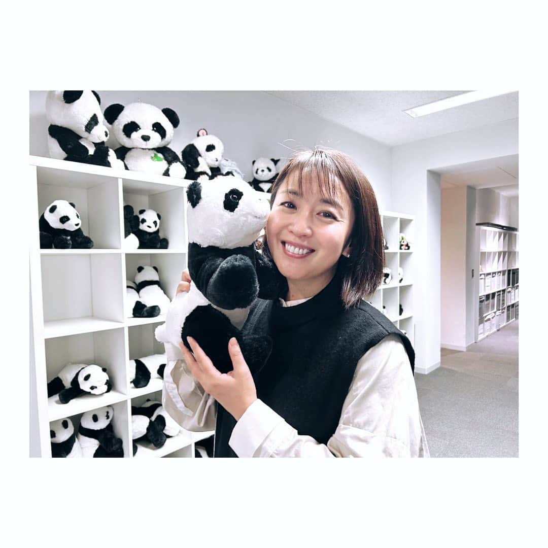 酒井美紀さんのインスタグラム写真 - (酒井美紀Instagram)「パンダだらけのスタジオ  かわいいーー🐼🐼癒されました♡  #酒井美紀#muaproduction#女優#パンダだらけ#癒し #そりゃ#被るよね」11月8日 18時26分 - mikisakai.mua