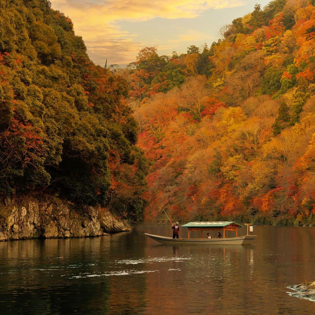 星野リゾートのインスタグラム：「【錦秋の紅葉を楽しむ優雅な舟遊び「嵐峡の紅葉狩り舟」】 📍星のや京都 - HOSHINOYA Kyoto  夕暮れ時に、ホテルの目の前を流れる大堰川で専用の雅な屋形舟「翡翠」を貸し切り、錦秋の紅葉を眺めながらシャンパーニュと秋の味覚を味わうアクティビティ。  かつて平安貴族が四季の風景を愛でながら舟遊びを楽しんでいた風情を感じながら、ゆったりとした贅沢な時間を過ごすことができます。  #HoshinoResorts #星野リゾート #hoshinoya #星のや #リゾートホテル #ご褒美旅行 #hoshinoyaKyoto #星のや京都 #京都 #嵐山 #京都ホテル #京都旅館 #京都旅行 #kyototrip #おこもり宿 #紅葉」