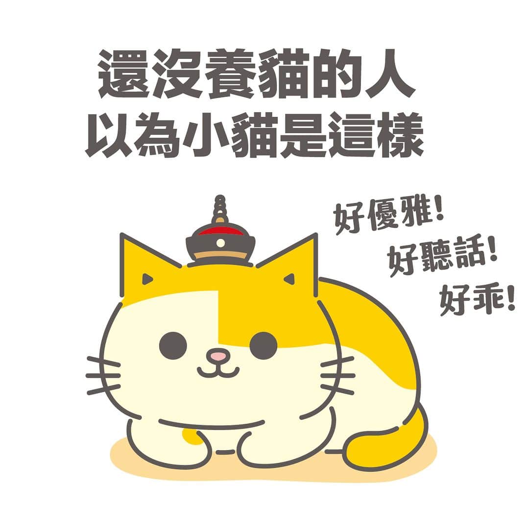 黃阿瑪的後宮生活のインスタグラム：「小貓是惡魔。 . #阿瑪漫畫 #生活系列 #fumeancats」