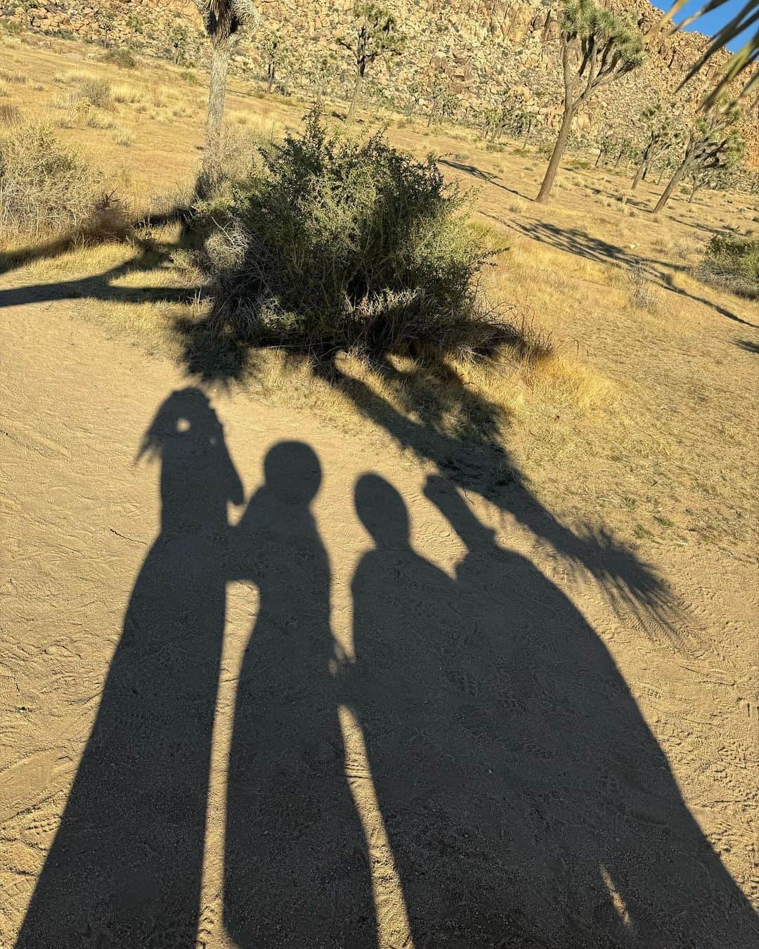 藤田ニコル（にこるん）さんのインスタグラム写真 - (藤田ニコル（にこるん）Instagram)「ジョシュアツリー🌲🌲 とにかく広すぎる。 国立公園🏞️  LAからジョシュアツリーまでは ２時間半かけてドライブでいきました🚗せいかちゃんが運転してくれた🫶  自然の中のピンクも可愛いね❤︎ @calnamur_official の春の新作を一足早く着たよ☺️  途中お土産屋さんも寄って とにかくLAでは沢山の🐕に懐かれました😂🩷ユキが恋しくなった。」11月8日 19時24分 - 2525nicole2
