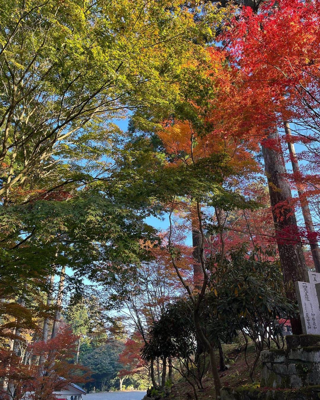 濵松里緒菜さんのインスタグラム写真 - (濵松里緒菜Instagram)「紅葉を見に行ってきました🍁  綺麗だったな〜🫶🏻  #紅葉 #autumn #autumnleaves  #autumnvibes #秋 #紅葉2023」11月8日 19時27分 - riona_hamamatsu