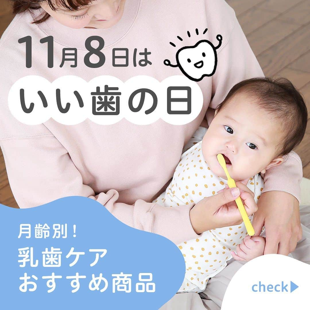 ピジョンのインスタグラム：「乳歯ケア👶🏻🦷月齢別おすすめアイテム☑️ ------------------ "赤ちゃんの歯" にまつわるエピソードやスタンプを コメントで教えてください👶🏻🦷  @pigeon_official.jp 👈他の投稿はこちら ------------------  本日11月8日は、『#いい歯の日 』🦷✨  「乳歯ケアいつから始めるの？」 「どのように進めるのがいい？」とお悩みの方へ 月齢別！乳歯ケアのおすすめアイテム🦷✨をご紹介します🥰  11月8日のインスタライブでは、 離乳食と合わせてご紹介しておりますので、ぜひそちらもご覧ください🙋‍♀️  #乳歯 #乳歯ケア #赤ちゃんの歯 #赤ちゃんの歯磨き #ベビー歯ブラシ #乳歯 #こんにち歯 #虫歯予防 #虫歯対策 #フッ素 #歯磨きデビュー #仕上げ磨き #ピジョン #赤ちゃんのいる生活 #赤ちゃんとの暮らし」