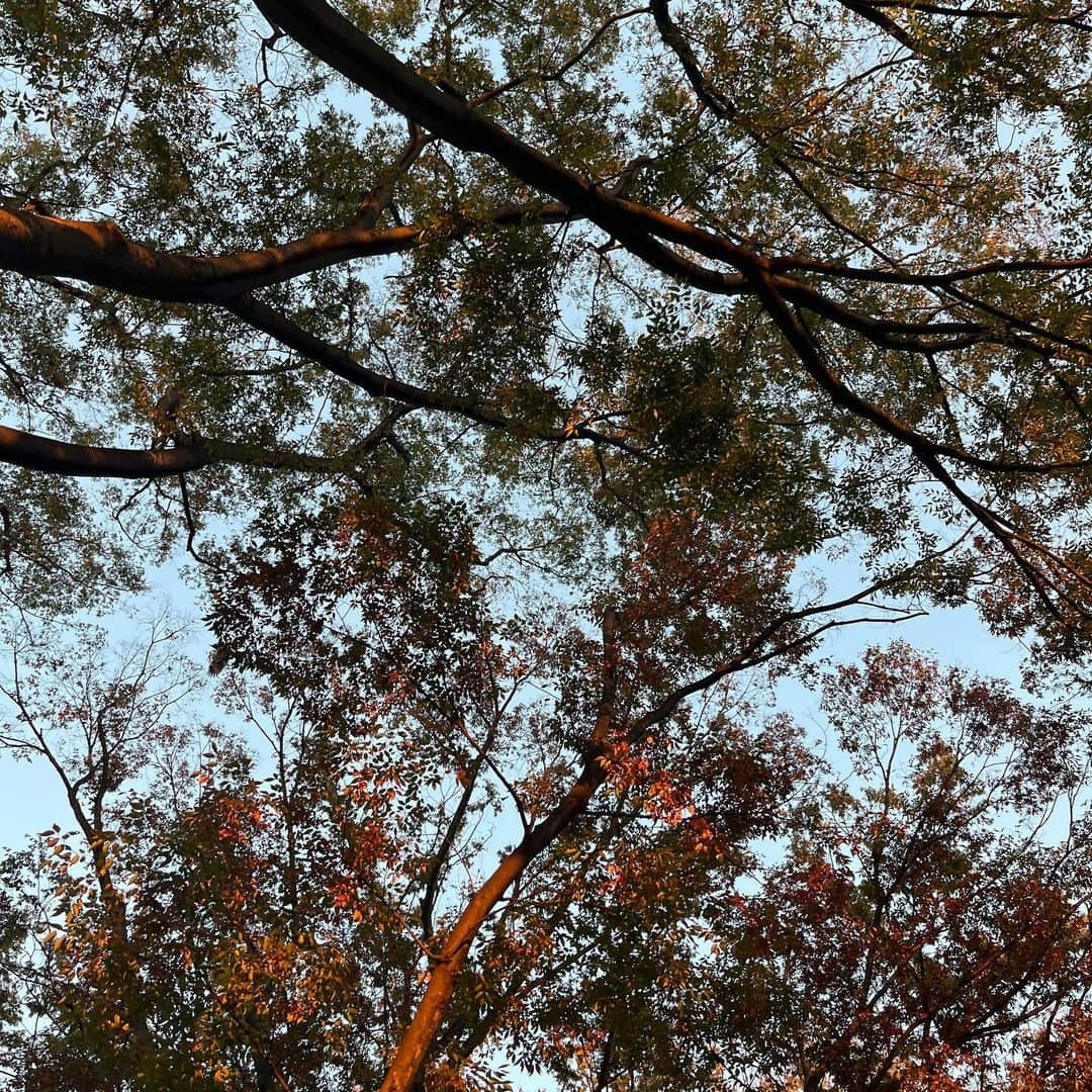 佐藤颯人さんのインスタグラム写真 - (佐藤颯人Instagram)「最近はシンプルなコーデが好きです🍂#佐藤三兄弟 #三つ子 #satotriplets #triplets #fashion #mensfashion #メンズファッション #秋コーデ #japan」11月8日 19時43分 - hyt.0601