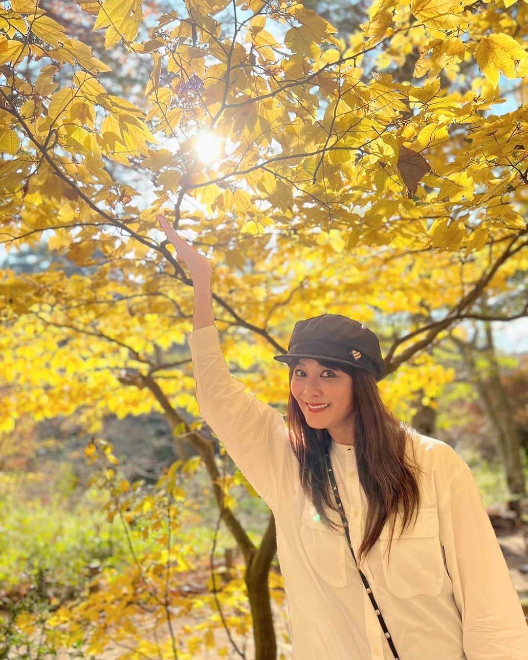 山田佳子さんのインスタグラム写真 - (山田佳子Instagram)「紅葉お散歩…🍁" ⁡ #色とりどり #紅葉  #深まる秋 #自然  #秋の美しさ  #癒される #🍁 #のんびり #自然散策  #11月5日 #六甲高山植物園」11月8日 19時58分 - yoshiko117