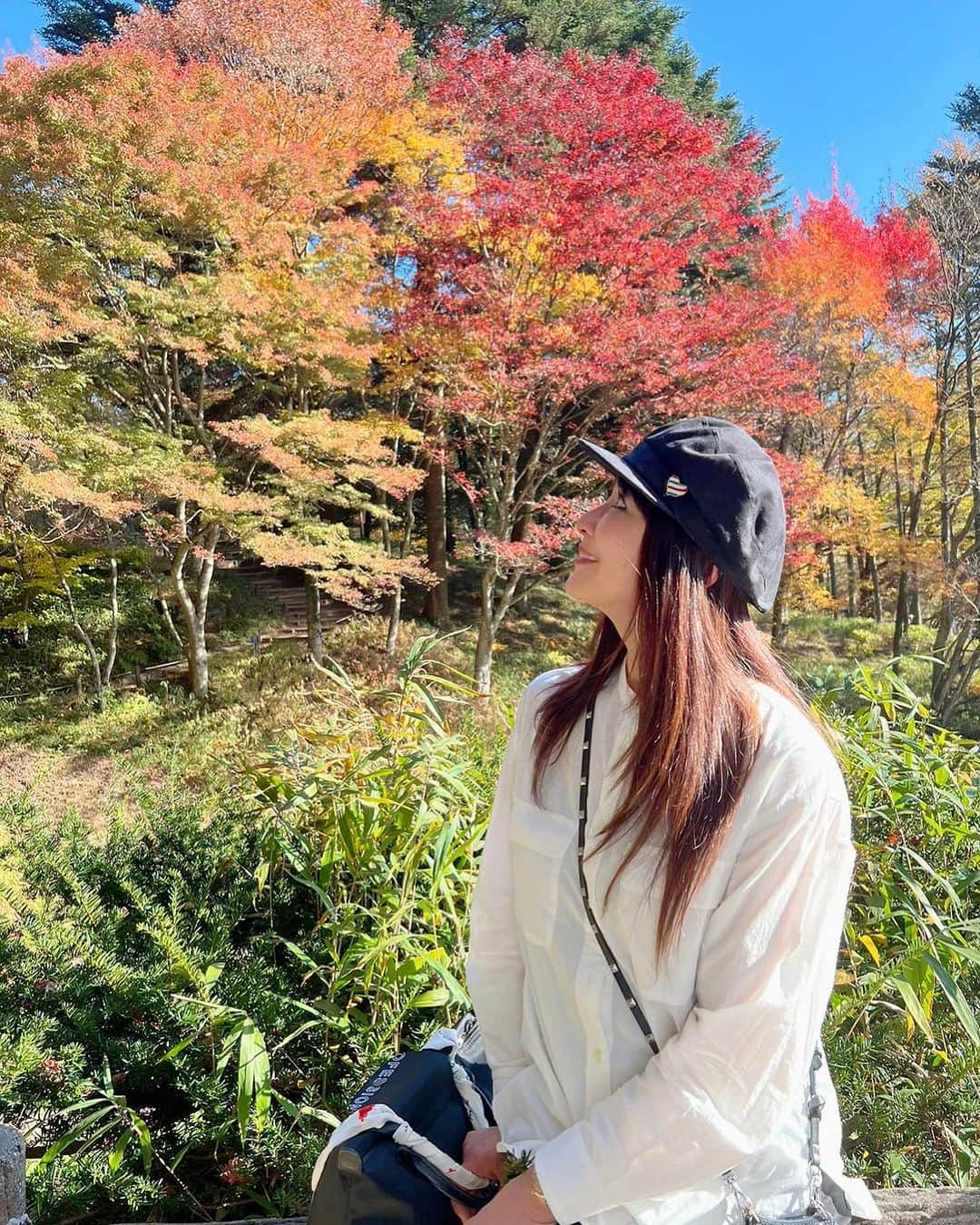 山田佳子さんのインスタグラム写真 - (山田佳子Instagram)「紅葉お散歩…🍁" ⁡ #色とりどり #紅葉  #深まる秋 #自然  #秋の美しさ  #癒される #🍁 #のんびり #自然散策  #11月5日 #六甲高山植物園」11月8日 19時58分 - yoshiko117