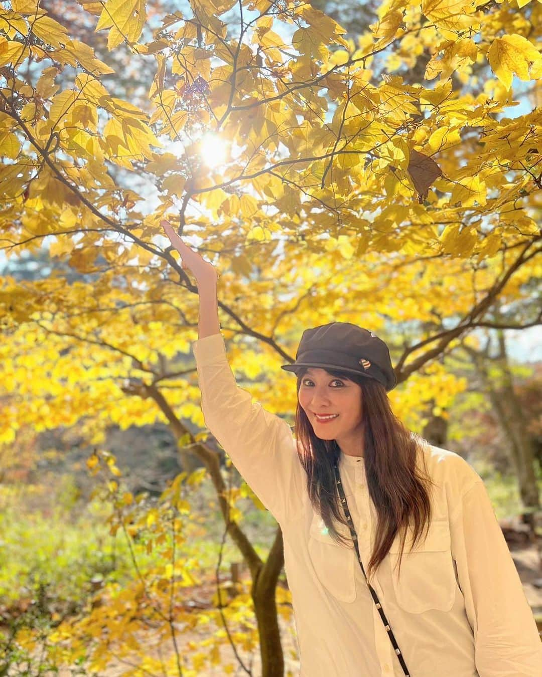 山田佳子のインスタグラム：「紅葉お散歩…🍁" ⁡ #色とりどり #紅葉  #深まる秋 #自然  #秋の美しさ  #癒される #🍁 #のんびり #自然散策  #11月5日 #六甲高山植物園」