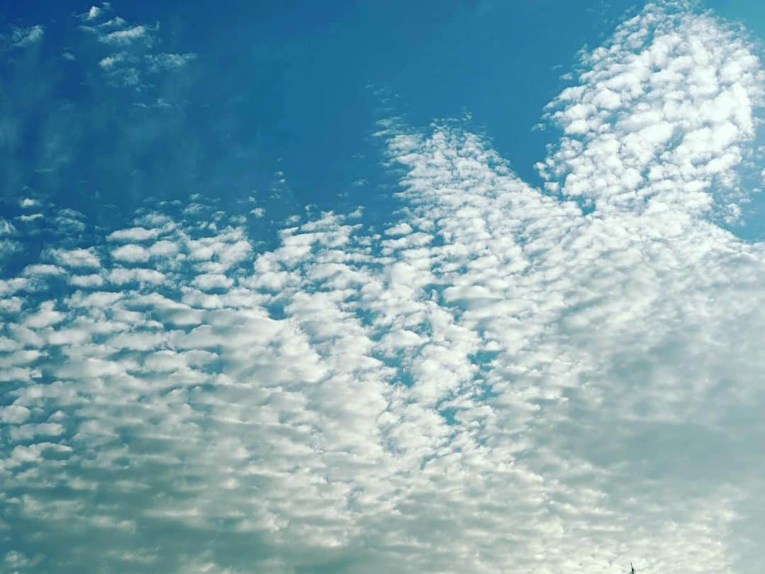 橋本麗香のインスタグラム：「👼🏻🩵🤍💙 空を見上げる余裕はいつも持ってたいな」