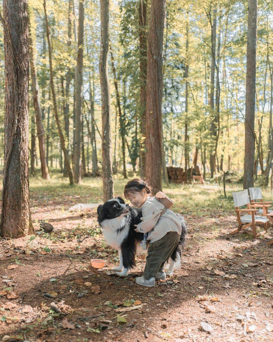 sorayuchiのインスタグラム：「・ マメはどこに行っても人気もの🐶✨  #fujifilm #gfx50r #art_of_japan_ #as_archive #IGersJP #good_portraits_world #indies_gram #RECO_ig #HUEART_life #team_jp_ #japan_daytime_view #Lovers_Nippon #Lovers_Nippon_portrait #bestjapanpics #Raymoment #indy_photolife #photogram_archieve #jp_mood #tokyocameraclub  #tokyo_grapher #pt_life_ #daily_photo_jpn #hubsplanet #pics_jp #photo_life_best #犬とこども  #キャンプ　#河口湖　#山梨県」