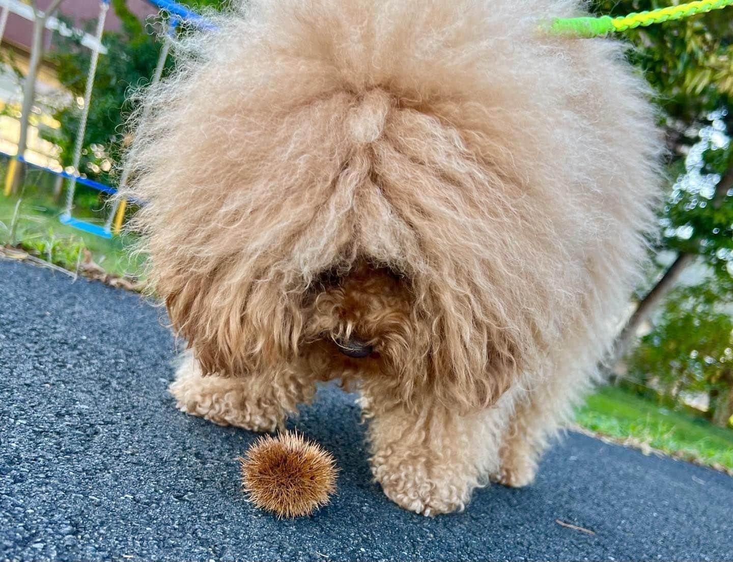 石野卓球さんのインスタグラム写真 - (石野卓球Instagram)11月8日 20時51分 - takkyuishino