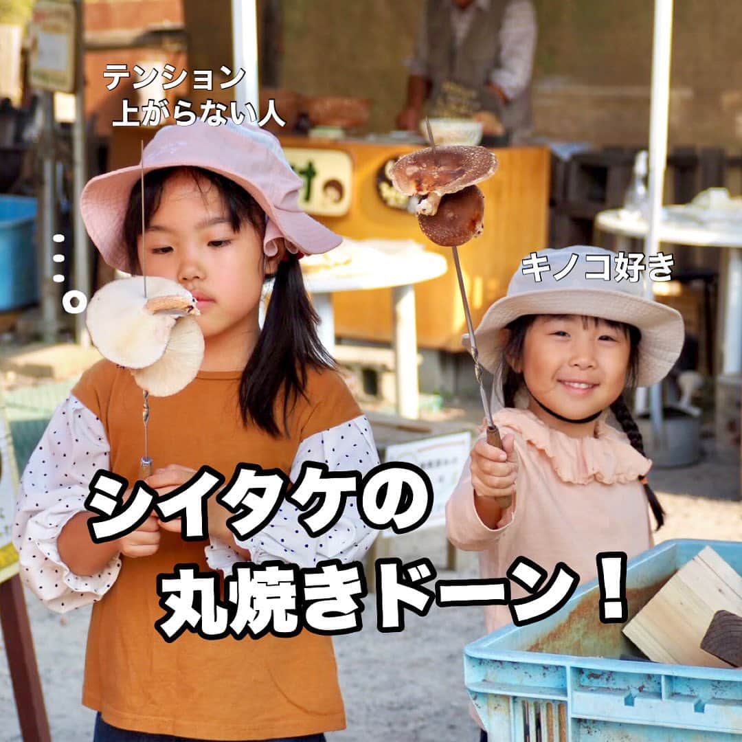 makikoのインスタグラム：「❤︎ 大好きなモクモクファーム🐮🥛🍁  ここの会員になったから入園料はずっと無料〜🥳✨ ポニーの乗馬も牛の乳搾りもいかだボートも無料〜🤣🌟  食事代だけで1日遊べるから春と秋は毎シーズン行きたいんよね🚗（駐車場も無料。笑）  今回初めてのしいたけ狩り🍄 300円でしいたけ採って炭火焼きで食べたよ🫶🏻😋 こっちゃんもエイトもきのこ好きやから、丸焼きでも喜んで食べたよ🥰笑  夜は鈴鹿に移動して、以前泊まったことある鈴鹿サーキットホテルに宿泊💓😊 2日目に向けてパワーチャージ🔋👊🏻  #モクモクファーム #シイタケ狩り #三重旅行 #伊賀旅行 #鈴鹿サーキットホテル」