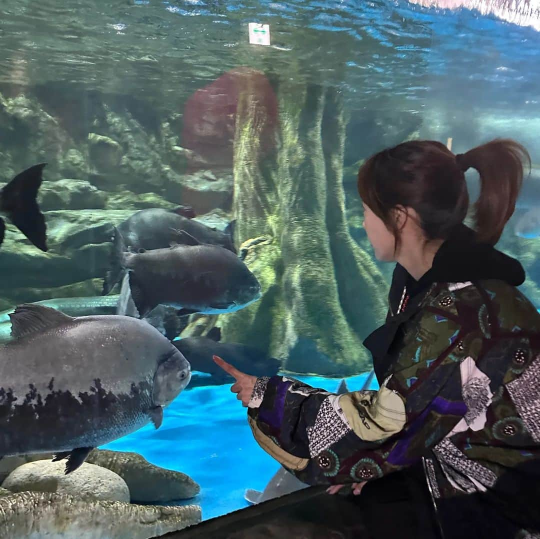 ハン・イェウォンさんのインスタグラム写真 - (ハン・イェウォンInstagram)「아쿠아리움 좋았따 🐬🐋🦈」11月8日 20時45分 - 6yook