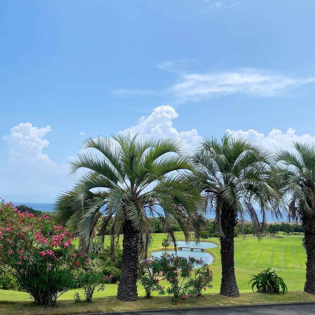 小尾渚沙さんのインスタグラム写真 - (小尾渚沙Instagram)「【お知らせ🌴】  千葉県誕生150周年を記念し、11月12日(日)に館山市でパレードが行われるのですが、当日司会をつとめさせて頂きます🎤❤️  小さい頃から家族で毎年行っていた、大好きな館山🌴  北条海岸、館山カントリークラブに、 ステキな温泉ホテル…🌴💕  数えきれないほどの思い出が沢山詰まっている館山でのイベントに携わらせて頂けて、とても嬉しいです🥰✨  『館山チアアップ・千葉県誕生150周年記念パレード』 12:30からパレードスタートです❣️ コース：館山駅西口交差点付近～八幡海岸交差点付近  パレードが始まる前にセレモニーもあります🎤 ぜひ皆さま遊びに来て下さ〜い🌴✨  （写真は全て館山での想い出です🤤❤️）  #館山 #館山カントリークラブ #沖ノ島 #千葉県館山市  #千葉市出身 #千葉ドライブ #海 #夏の思い出 #ゴルフ  #ゴルフ女子 #南房総 #フリーアナウンサー #小尾渚沙」11月8日 20時53分 - obi_nagisa