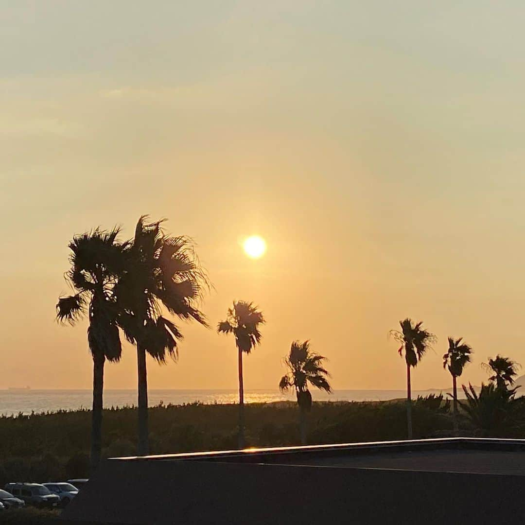 小尾渚沙さんのインスタグラム写真 - (小尾渚沙Instagram)「【お知らせ🌴】  千葉県誕生150周年を記念し、11月12日(日)に館山市でパレードが行われるのですが、当日司会をつとめさせて頂きます🎤❤️  小さい頃から家族で毎年行っていた、大好きな館山🌴  北条海岸、館山カントリークラブに、 ステキな温泉ホテル…🌴💕  数えきれないほどの思い出が沢山詰まっている館山でのイベントに携わらせて頂けて、とても嬉しいです🥰✨  『館山チアアップ・千葉県誕生150周年記念パレード』 12:30からパレードスタートです❣️ コース：館山駅西口交差点付近～八幡海岸交差点付近  パレードが始まる前にセレモニーもあります🎤 ぜひ皆さま遊びに来て下さ〜い🌴✨  （写真は全て館山での想い出です🤤❤️）  #館山 #館山カントリークラブ #沖ノ島 #千葉県館山市  #千葉市出身 #千葉ドライブ #海 #夏の思い出 #ゴルフ  #ゴルフ女子 #南房総 #フリーアナウンサー #小尾渚沙」11月8日 20時53分 - obi_nagisa