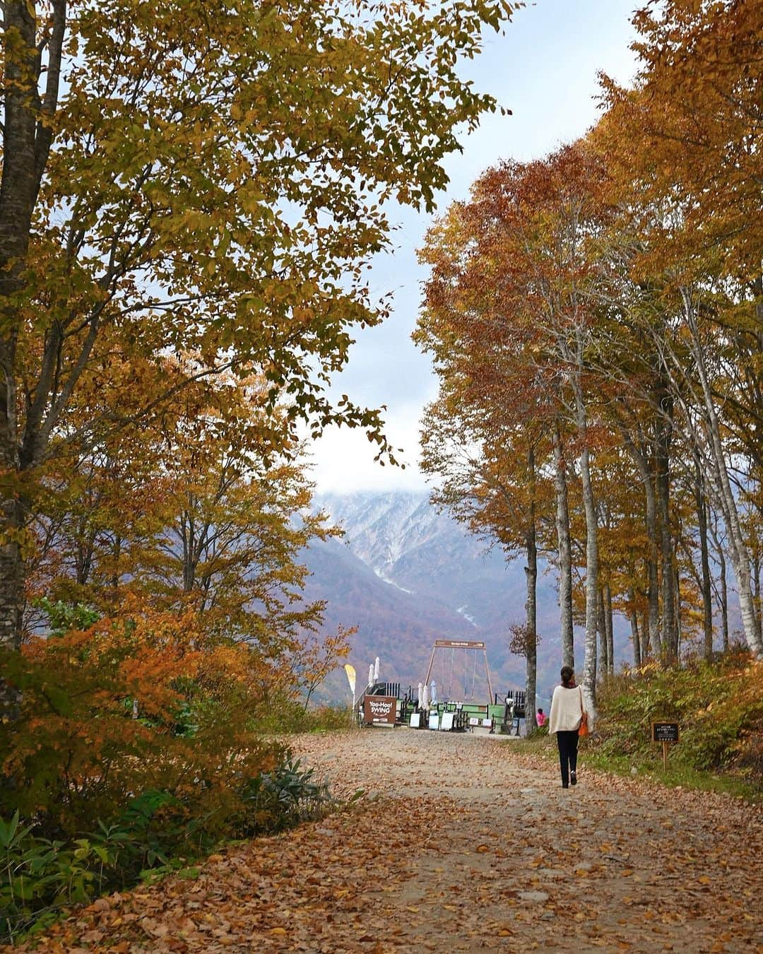 MEGのインスタグラム：「⌇白馬山岳マウンテンリゾート  この時期だからこそ見れる”三段紅葉“🍂 雲で雪山は隠れていたけど本当綺麗だった。  白馬駅から車で15分くらいで、着いたらリフトに乗って上へ。  だいたい地獄を味わないと絶景ってみれないけど、市内からもこんなにすぐ？と思うほど楽々頂上へ。  リフトに乗ってる時も綺麗な紅葉が見れて、また違う季節にも来てみたいな〜と🌾  Open : 8:30-17:00  📍長野県北安曇郡白馬村北城１２０５６   #白馬 #白馬旅行 #長野旅行 #三段紅葉 #紅葉スポット #旅行 #日本旅遊  #trip #autumn」