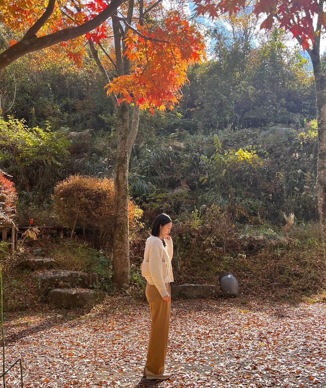 今田美奈さんのインスタグラム写真 - (今田美奈Instagram)「🍁🤎 秋らしい写真〜 気づいたら全身UNIQLOだった日。」11月8日 21時06分 - _minaimd.j_