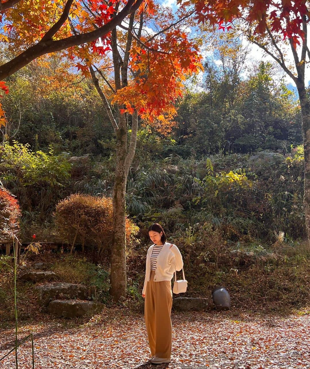 今田美奈さんのインスタグラム写真 - (今田美奈Instagram)「🍁🤎 秋らしい写真〜 気づいたら全身UNIQLOだった日。」11月8日 21時06分 - _minaimd.j_
