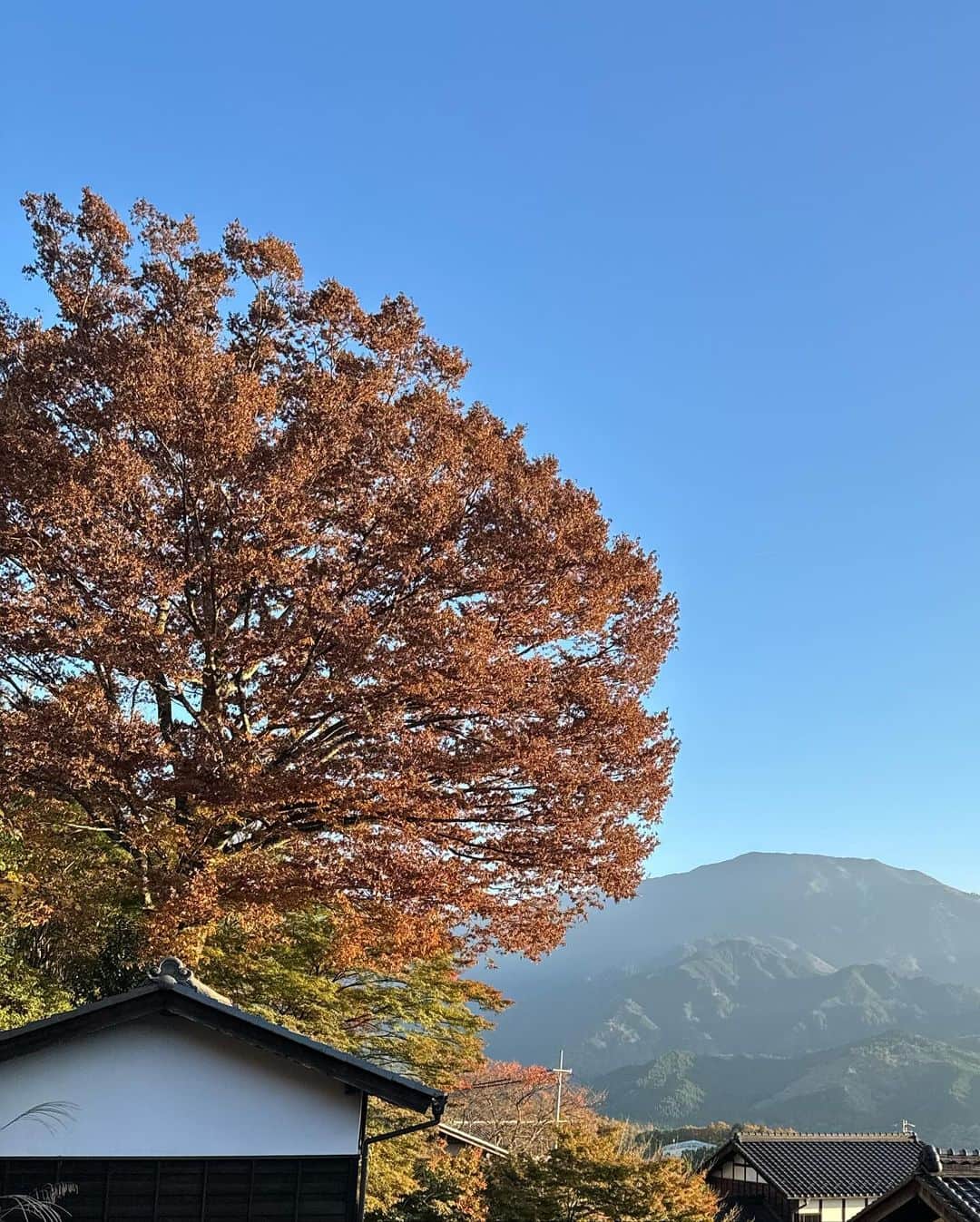 斉藤真木子さんのインスタグラム写真 - (斉藤真木子Instagram)「今日はたくさん秋を感じて来ました！ またお知らせします🍁」11月8日 21時06分 - saitomakiko628