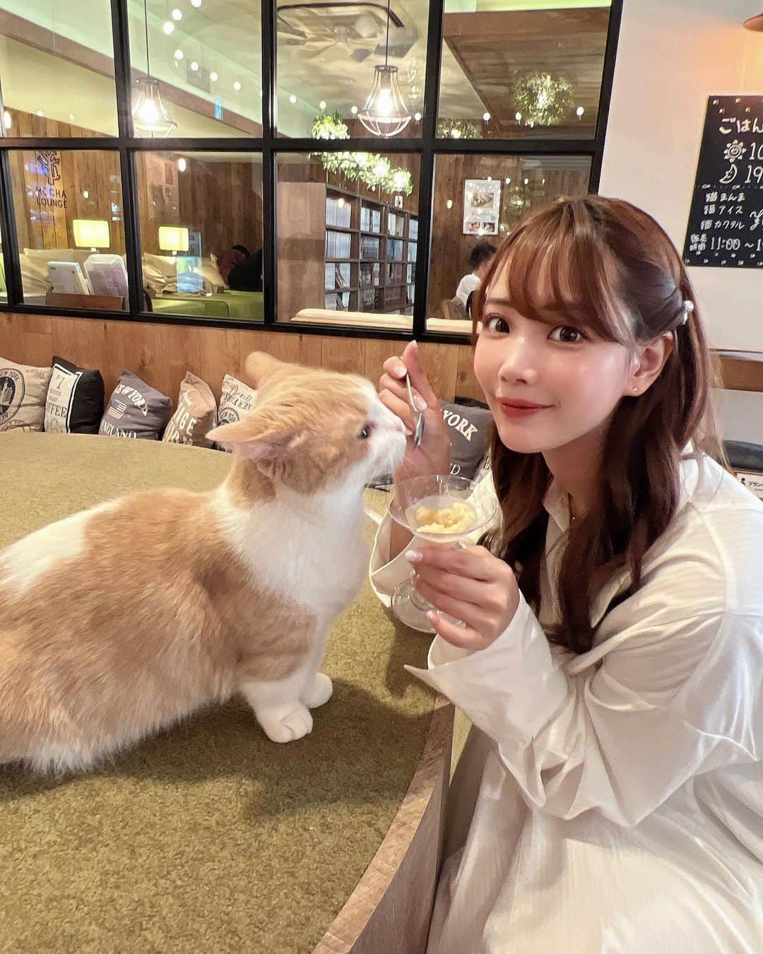 伊藤弥鈴さんのインスタグラム写真 - (伊藤弥鈴Instagram)「猫ちゃんたちに癒されに、 猫カフェモカラウンジ池袋東口店 @mocha.ikebukuroeast に行ってきたよ🐈‍⬛✨  人慣れしてる優しい猫ちゃんたちがいっぱいお迎えしてくれて癒された😭🩷  施設の設備もすごく良くて、 猫ちゃんたちに囲まれながらゆっくり作業したり、 ファミコンやスイッチでも遊べて大満足🎮😁  また行きたいな〜♡  #PR #猫カフェmocha #猫カフェ #池袋猫カフェ #池袋カフェ」11月8日 21時46分 - itomisuzu_