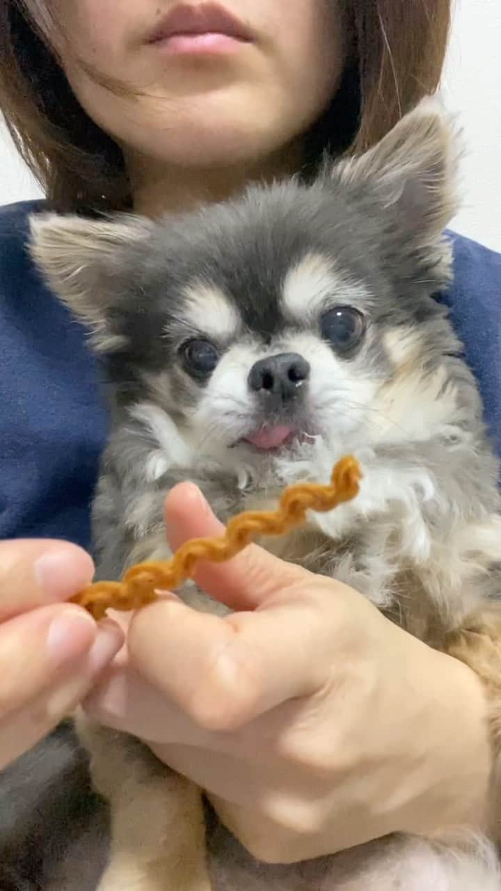 Yukiのインスタグラム：「ご馳走様は、何をじゃなくて誰と食べるか✨すっごく美味しかったね😊」