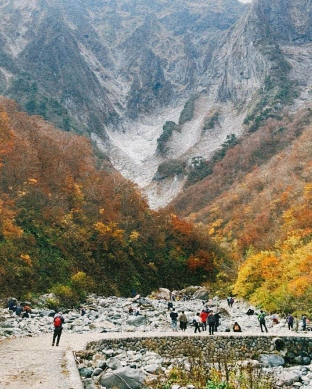 福田瞳さんのインスタグラム写真 - (福田瞳Instagram)「谷川岳 2023.11.5  紅葉🍁がとっても美しかった✨ ハイキング最高でした☺︎ #みなかみ#群馬#谷川岳 #最後の写真はナイ木」11月8日 22時03分 - fukudahitomi610