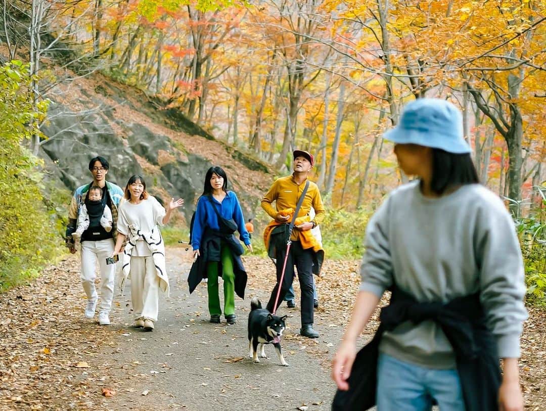 福田瞳さんのインスタグラム写真 - (福田瞳Instagram)「#谷川岳#ハイキング #くまには出会いませんでした」11月8日 22時15分 - fukudahitomi610
