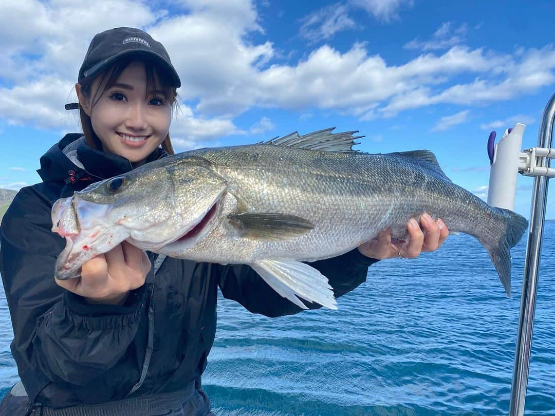 谷田圭（たにけい）のインスタグラム：「・ ・ ・ ・ 「念願のお魚」 本日の主役🏆シーバス‼️‼️‼️‼️‼️‼️‼️ 狙って釣るのって初で...🔰 バクってルアー食べてくれてから 記憶ないぐらい緊張したし、 すごく嬉しかった..🥹(心臓🫀ﾄﾞｷﾄﾞｷ)  ・ ・ ・ ・ ・  6年前、貞山堀でイソメ房がけして ひと夏釣れなかったシーバス。  ワールドシャウラにツインパワーくっつけて、ルアーで仕留めたよ！！！！ って6年前の自分に教えてあげたい😂  キャストから釣り方まで教えてくれた アニキ @bansei_onodera  ありがとうございます🔥 貴重なタンパク質いただきます🔥💪  #シーバス #ボートシーバス #女川 #プレジャーズ #スズキ #trip #japan #SHIMANO #SUNLINE」