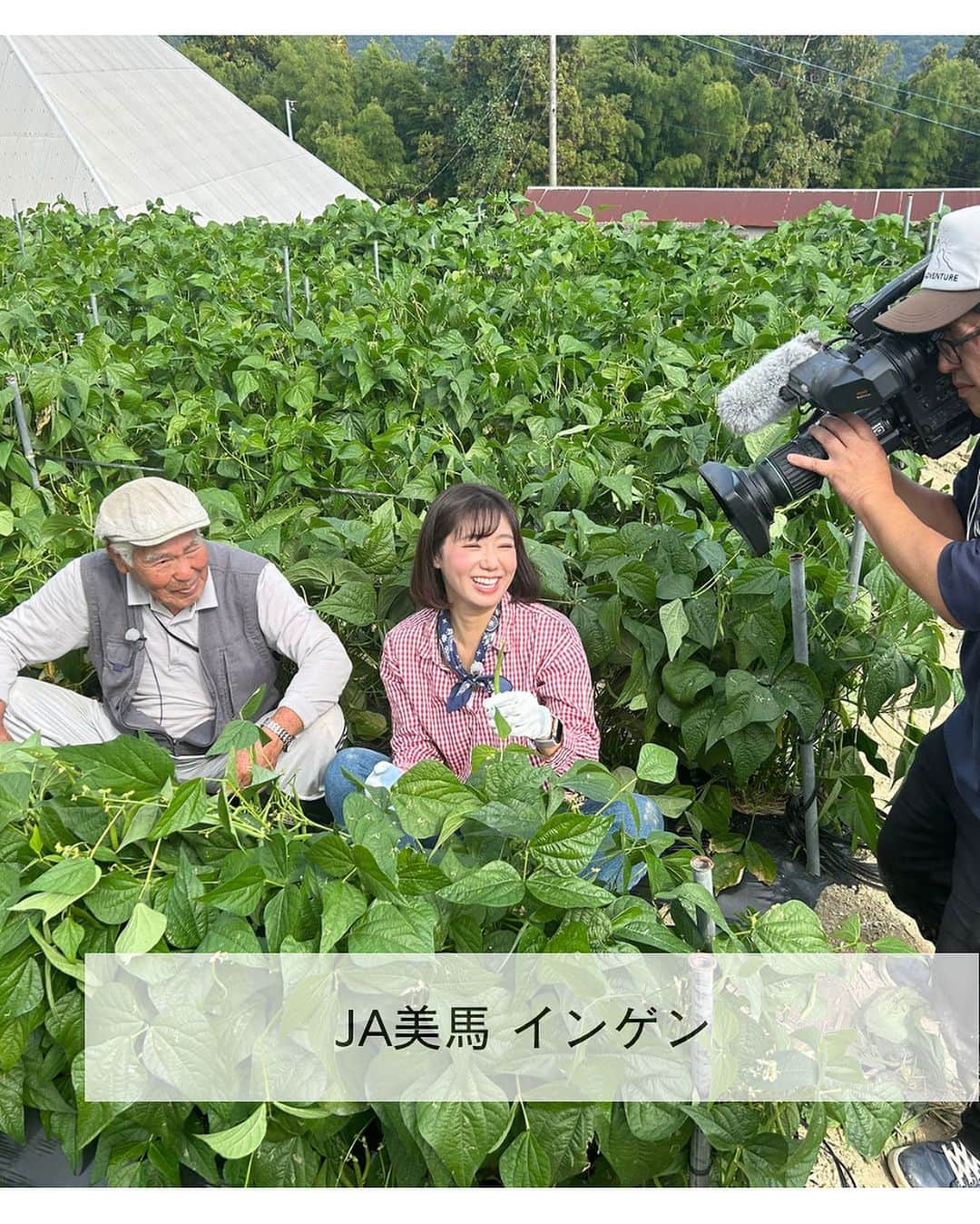 森本晴香のインスタグラム