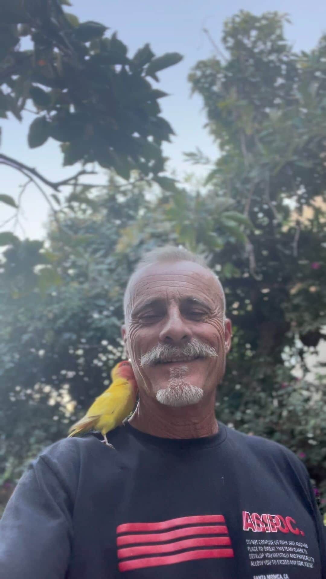 ティモシー・V・マーフィーのインスタグラム：「Saint Francis of Assisi #saintfrancis @tonidivincenzo @caitlinamanley ☘️☘️☘️🦜🦜🦜 @ampassoc #pirate #parrots」