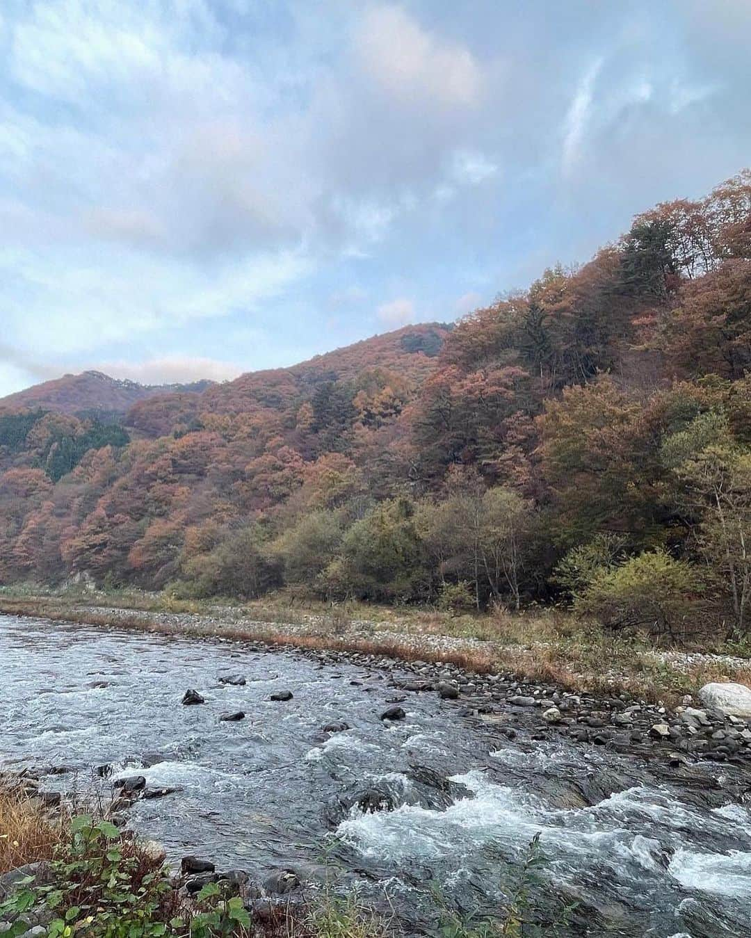 前田亜美さんのインスタグラム写真 - (前田亜美Instagram)「. 🌲- ̗̀☾⋆ ̖́-🏕️. . . ‪🍦‬🐮☕𓈒𓏸︎︎︎︎. . . ‎🤍   #ami私服  #キャンプ」11月9日 9時27分 - ami___maeda0601