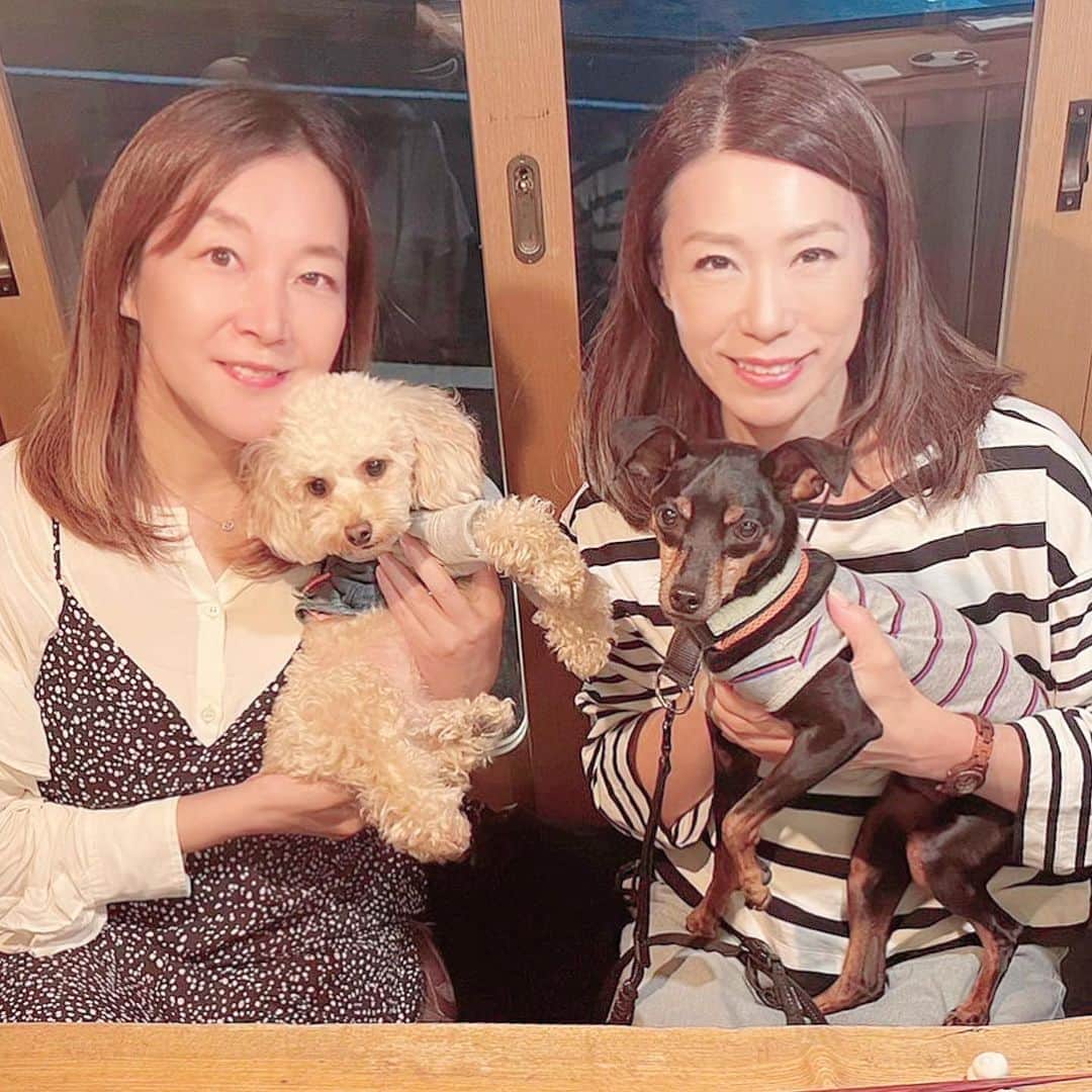 日々野真理のインスタグラム：「麻布十番の 焼き鳥屋さんに行ってきました(^^)  わんこ同席オッケーな上、 わんこメニューもあるお店。 まろんには、ササミ焼き鳥を オーダーしてあげました（２枚目）  焼き鳥コースに 最後は締めに🍜ラーメンをシェア。  お友達と、愛犬のロッキー兄さんに 可愛がってもらい、だんだん緊張がほぐれた まろんくんでした。  今日はお留守番だったココアの機嫌は… 悪い💦　ごめんよ。」