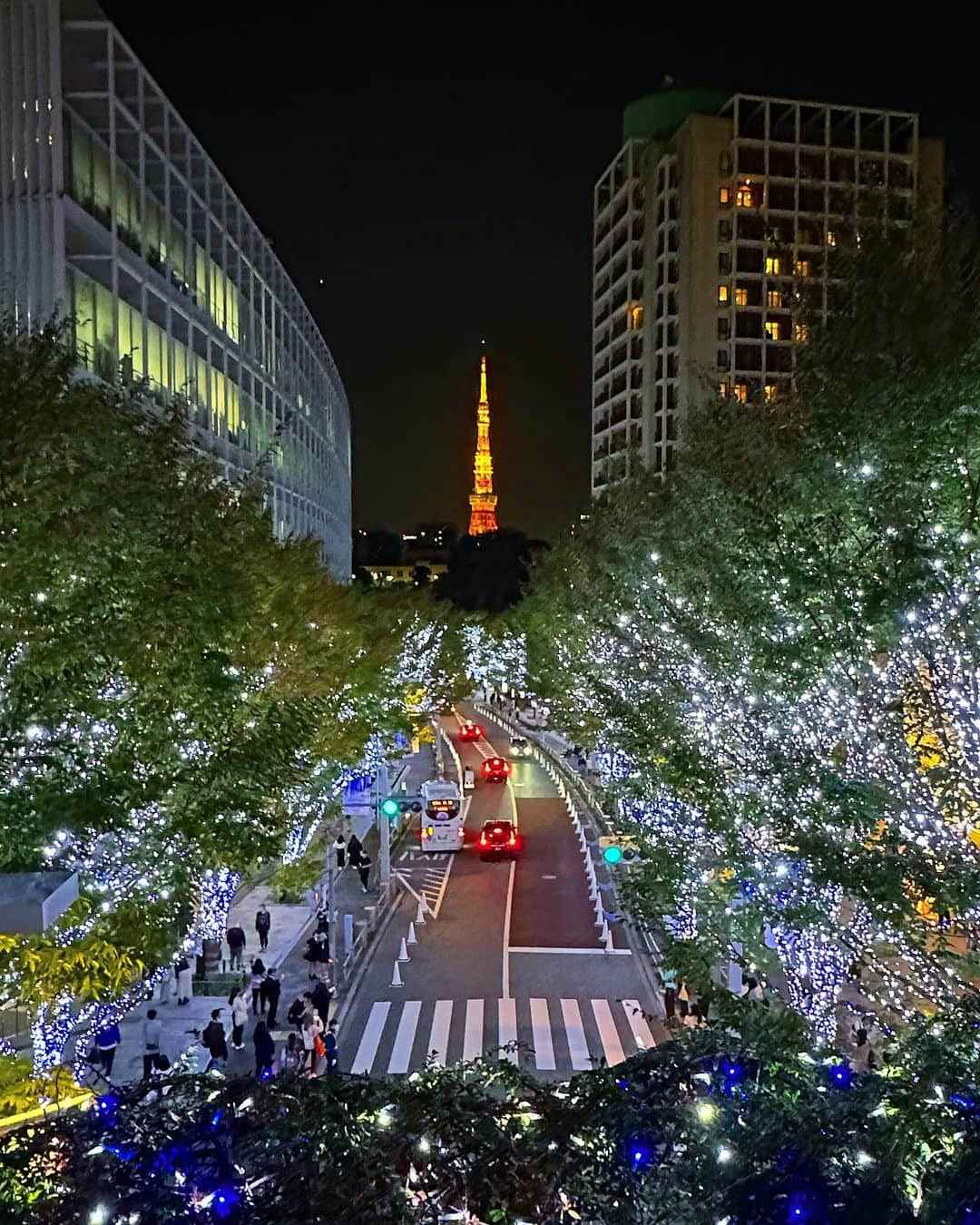 日々野真理のインスタグラム：「今年もこの季節が やってきましたね✨✨」