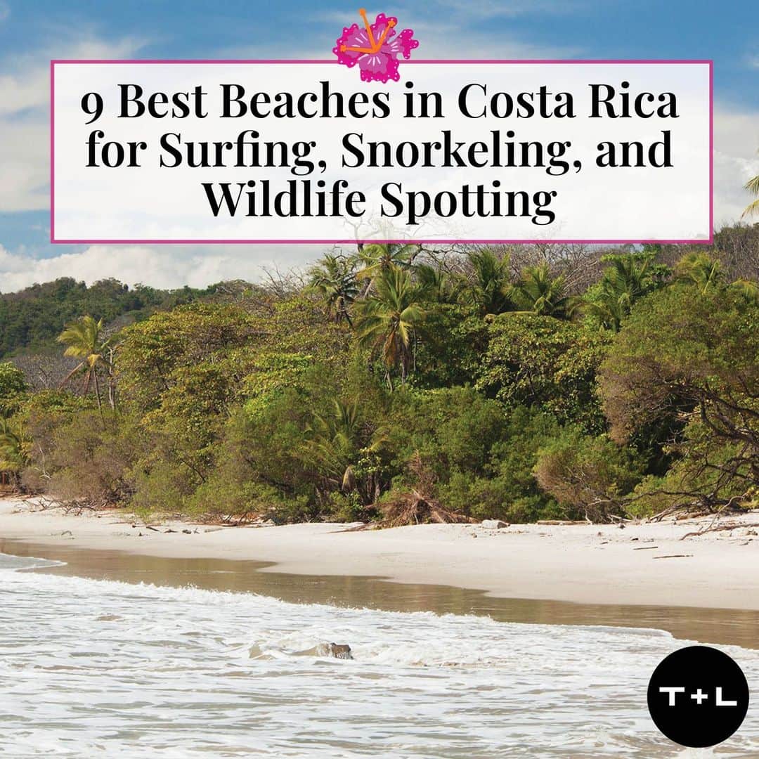 Travel + Leisureのインスタグラム：「With nearly 800 miles of oceanfront real estate on both the Caribbean and Pacific coasts, Costa Rica is a dream world for surfing, swimming, and sunbathing. Get a full list of the best beaches in the Central American nation at the link in bio.」