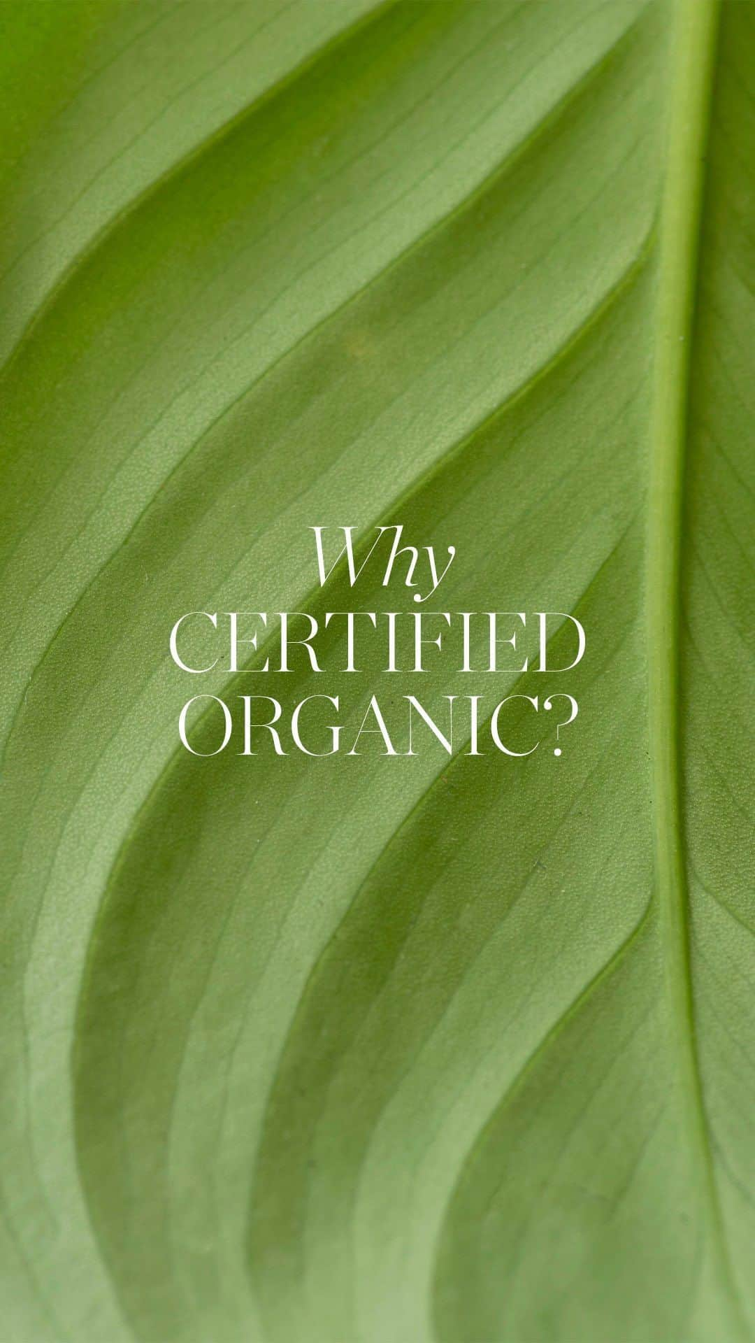 KORA Organicsのインスタグラム：「We’re good for the Earth, healthy for your body, uplifting to the senses + more effective than non-organic skincare. Let that sink in 🌱」