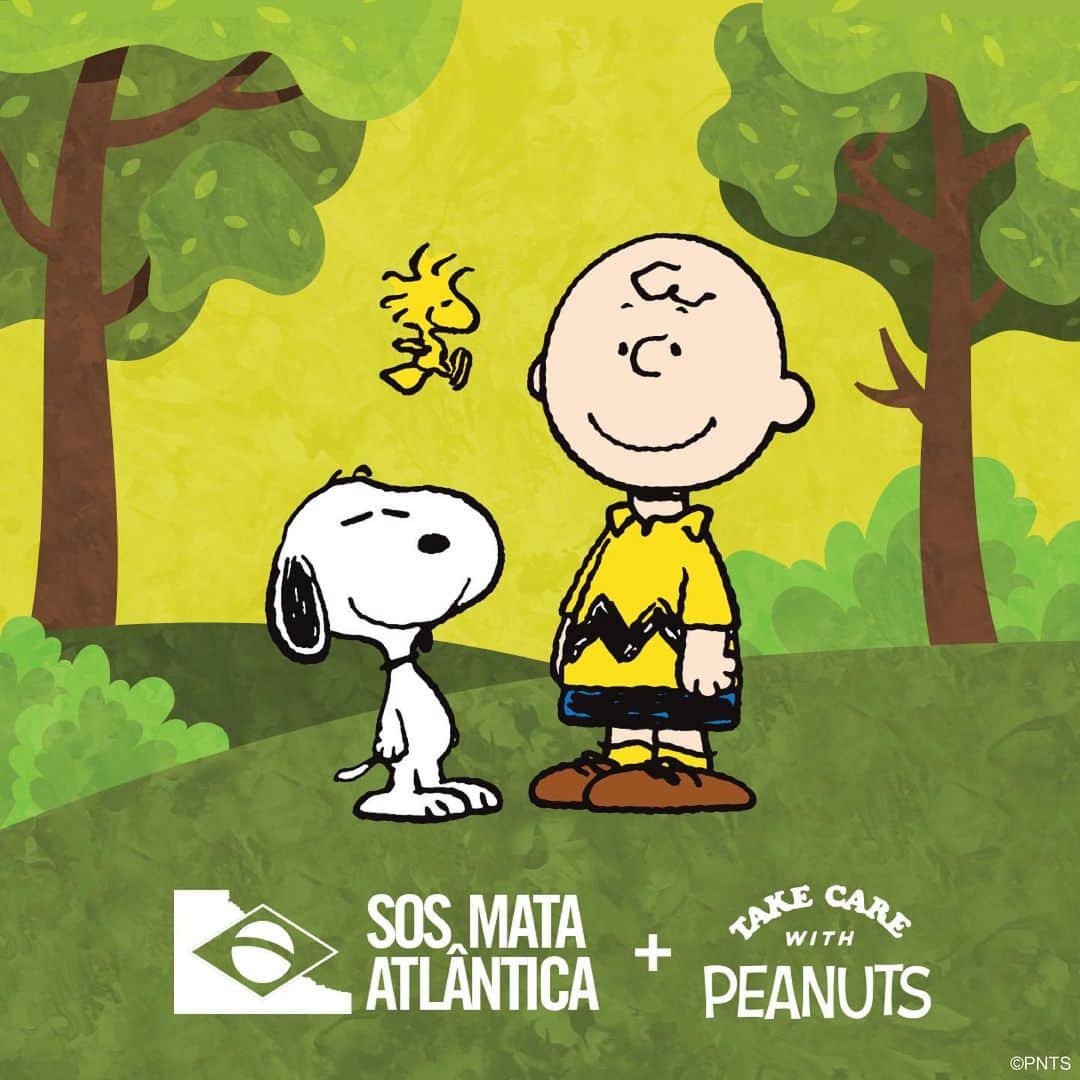 スヌーピーのインスタグラム：「For #WorldwideWednesday we are thrilled to announce the educational “Snoopy Space” in Brazil, a special facility designed to raise awareness and educate in a playful and interactive way about the importance of conserving and protecting the Atlantic Forest.   In one of the world's most important forests, the Peanuts gang will take you on an adventure that combines fun and learning!   The Snoopy Space is a partnership between Peanuts and SOS Mata Atlântica, an environmental organization that has been advocating for the Atlantic Forest for 37 years. Learn more at @sosmataatlantica!   Temos o prazer de anunciar o espaço educativo “Snoopy e sua turma na Mata Atlântica” no Brasil, um espaço especial desenvolvido para conscientizar e educar de forma lúdica e interativa sobre a importância de conservar e proteger nossa Mata Atlântica.  Em uma das florestas mais importantes do mundo, a turma do Peanuts vai levar você em uma aventura que combina diversão e aprendizado!   O Espaço Snoopy e sua Turma é uma parceria entre a Peanuts e a SOS Mata Atlântica, organização ambientalista que defende a Mata Atlântica há 37 anos. Saiba mais em @sosmataatlantica! #TakeCareWithSnoopy #TakeCareOfTheEarth #SOSMataAtlântica #WorldwideWednesday」