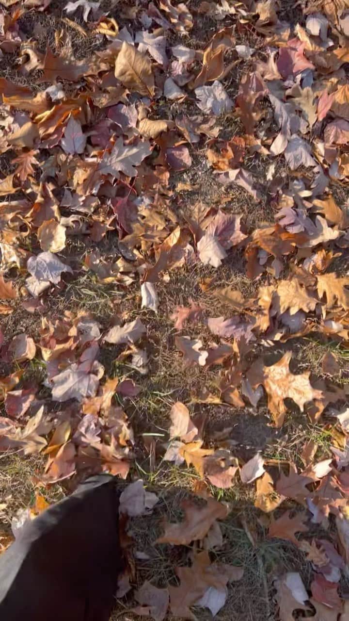 JO BAKERのインスタグラム：「36hrs #eastcoast during #fall is just good for the soul… crisp crunchy foliage , blue skies, chill in the air and it made me so happy to just stomp through the autumnal leaves 🍂🍁 #seasons #autumn #lovefall #fall #naturelovers #connectwithnature #happy #iloveyou #naturephotography #nature #imissthis #jobakermakeupartist」
