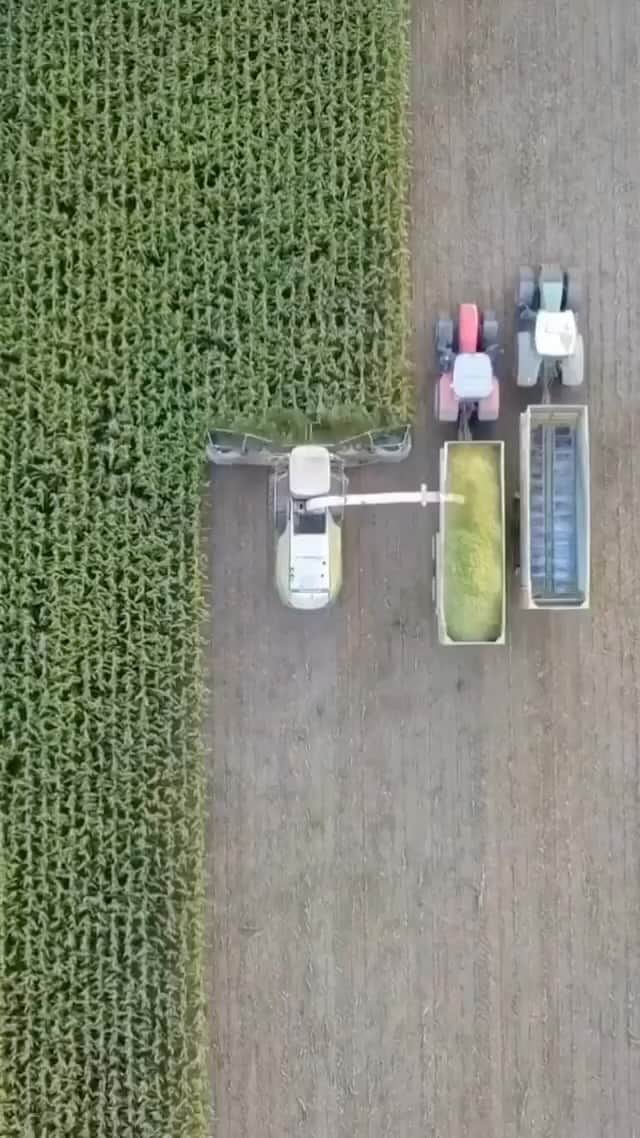 Awesome Wonderful Natureのインスタグラム：「Satisfactory 🚜💨 . 🎥 by @bauernhof.rehse  . . . #farming #harvest #johndeere #agro #viral #nature #place #natgeo #discover #explore #landscape #photography #travels #vacations #travel #geography #vacation #tlpicks」