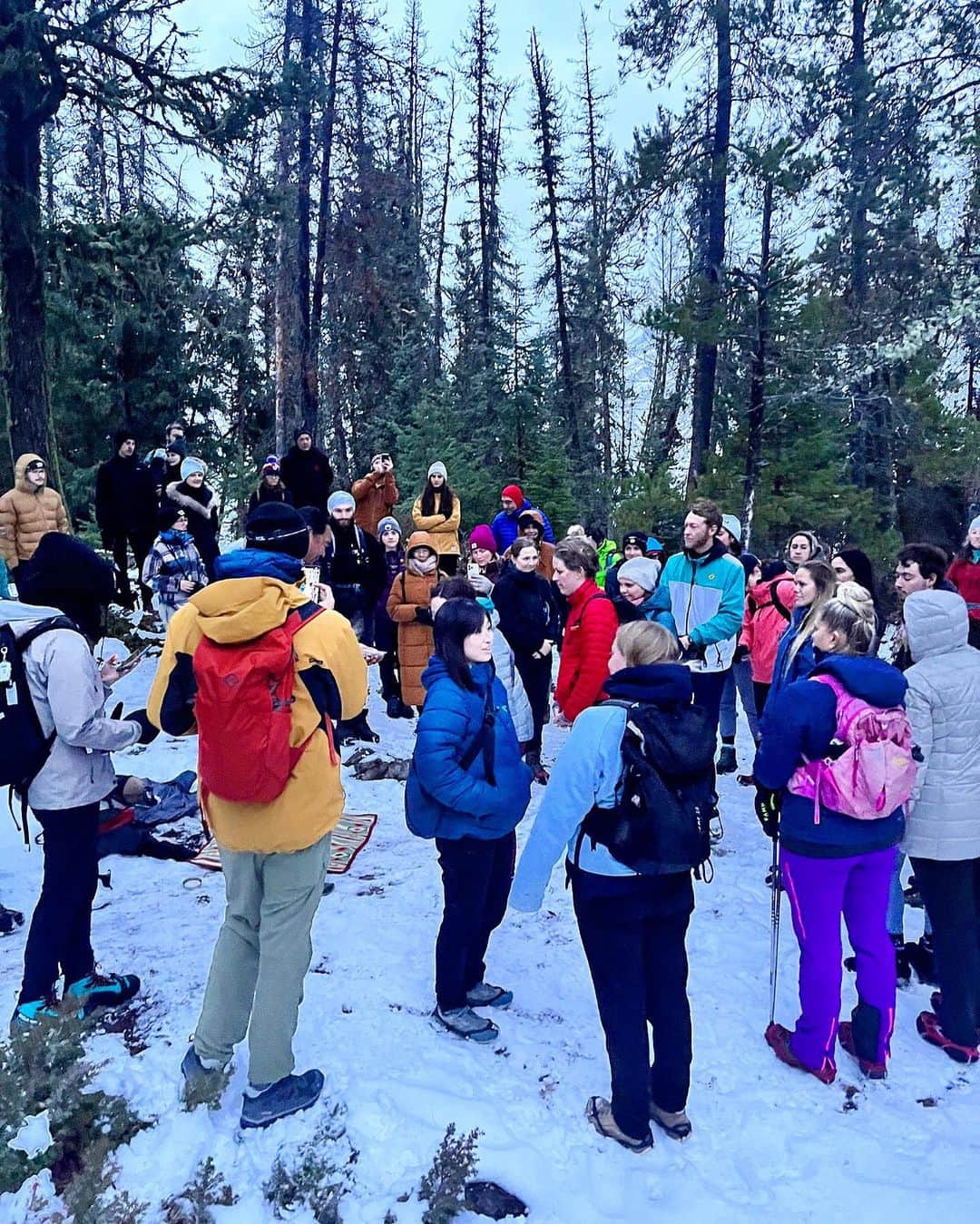 オボズさんのインスタグラム写真 - (オボズInstagram)「Scenes from the Sunrise Hike this past weekend at the @banffmountainfestival.  We spent time outside with Film Festival attendees, learned about the flora and fauna from @acmg.ca, and explored Banff National Park on the hike to Sacred Buffalo Guardian 🥾   @mec  @fjallravenofficial @happyyak.ca  @kickinghorsecoffee   #obozfootwear #truetothetrail #banfffilmfestival #sunrisehike」11月9日 4時43分 - obozfootwear