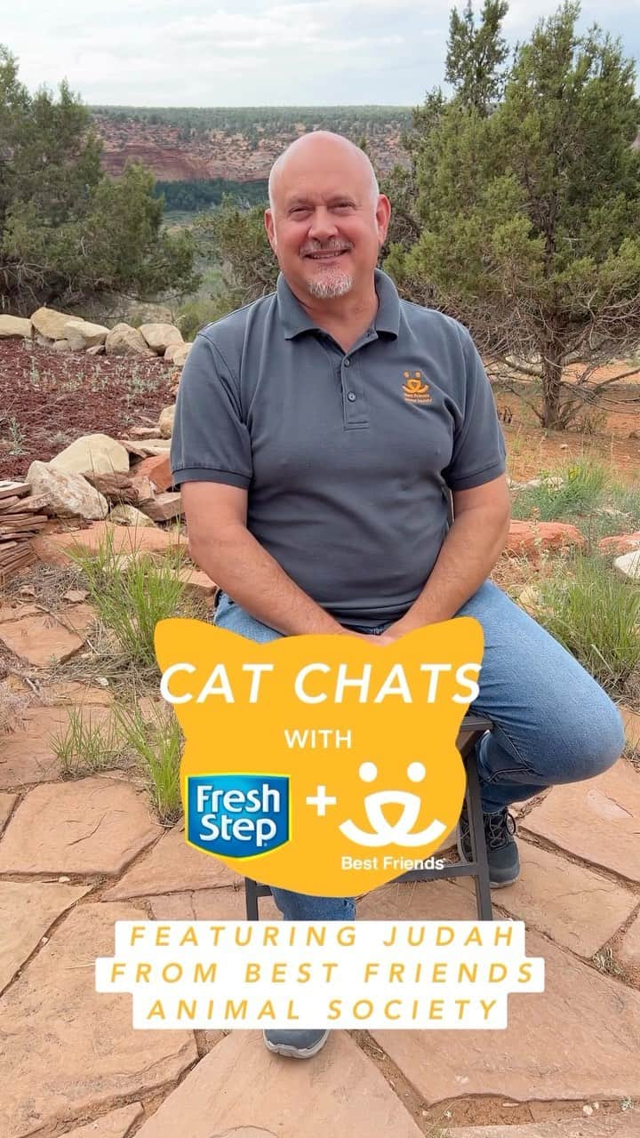 Fresh Stepのインスタグラム：「It’s #ShelterAppreciationWeek, so we’re chatting with Judah, one of the co-founders of Best Friends Animal Society, about all things cats! 😻 We are proud to be their official litter partner. See our link in bio to connect with your local shelter and learn about volunteering, adopting, and donating.  #cats #catlovers #catrescue #kitten #catadoption #savethemall #freshstep #freshsteplitter」