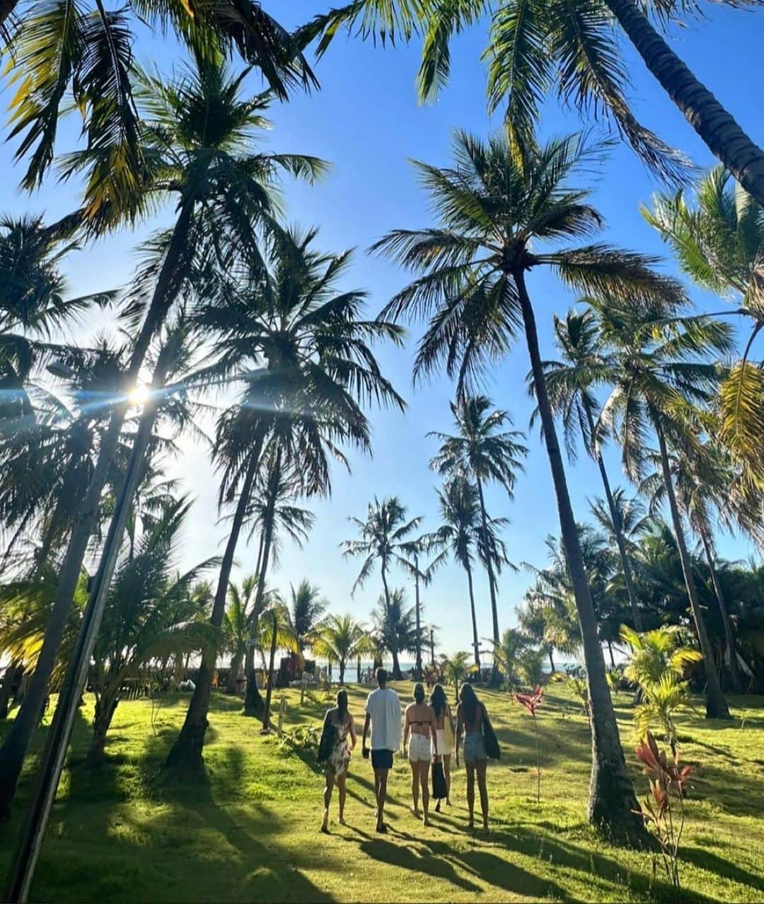 ブランドン・アルメイダさんのインスタグラム写真 - (ブランドン・アルメイダInstagram)「São Miguel dos Milagres 🏝️😎」11月9日 5時54分 - brandonnalmeida