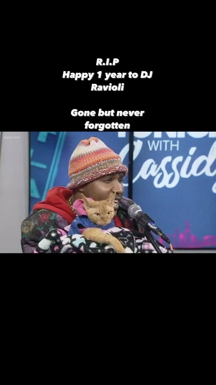 MSHO™(The Cat Rapper) のインスタグラム：「It’s been 1 year since I’ve lost you son, not a day goes by that I’m not thinking about you. You are in my house, you are on the internet, you are EVERYWHERE. I see you everyday. I’m still not over you. I wish you could have been here to meet your human sister. We love you and you are ALWAYS with me. I don’t want to continue without you, but I know I have to finish what we have started. I would give anything to have you back. I hope you are proud of me and I hope you know how much I love you. I will continue and pull myself up for you and our FAMILY. You are still my everything and I’ll see you one day in the after life, save a spot for me until we meet again. I love you with all my heart. I promise to give this life my all. Miss you son. I love you. I’m still heart broken but I promise I won’t  let YOU OR MY FAMILY DOWN SLEEP EASY. To anybody reading this. GET READY FOR MY NEW ERA!!! #DJRavioli #TheCatRapper #CatMan #CatMom #CatDad #MoGang」