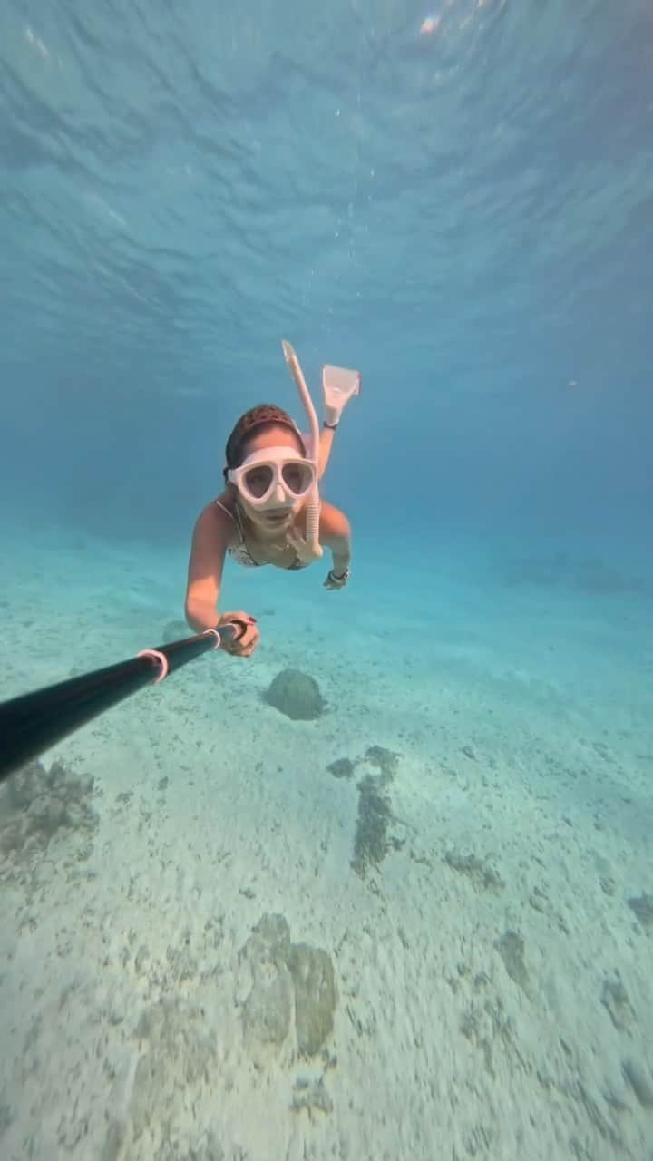 麻衣のインスタグラム：「#沖縄#伊平屋島 #leaderfins#gull#gullでインスタ  #Mobulabirostris #gopro #goprojp#goprohero10 #sealife#wildlifephotography  #divingtrip #divingphoto #divingmagazine  #ファインダー越しの私の世界  #水中写真 #水中撮影  #gopro#ゴープロ#ゴープロのある生活 #underwaterworld #underwaterlife  #skindiving #ocean#blue#sea」