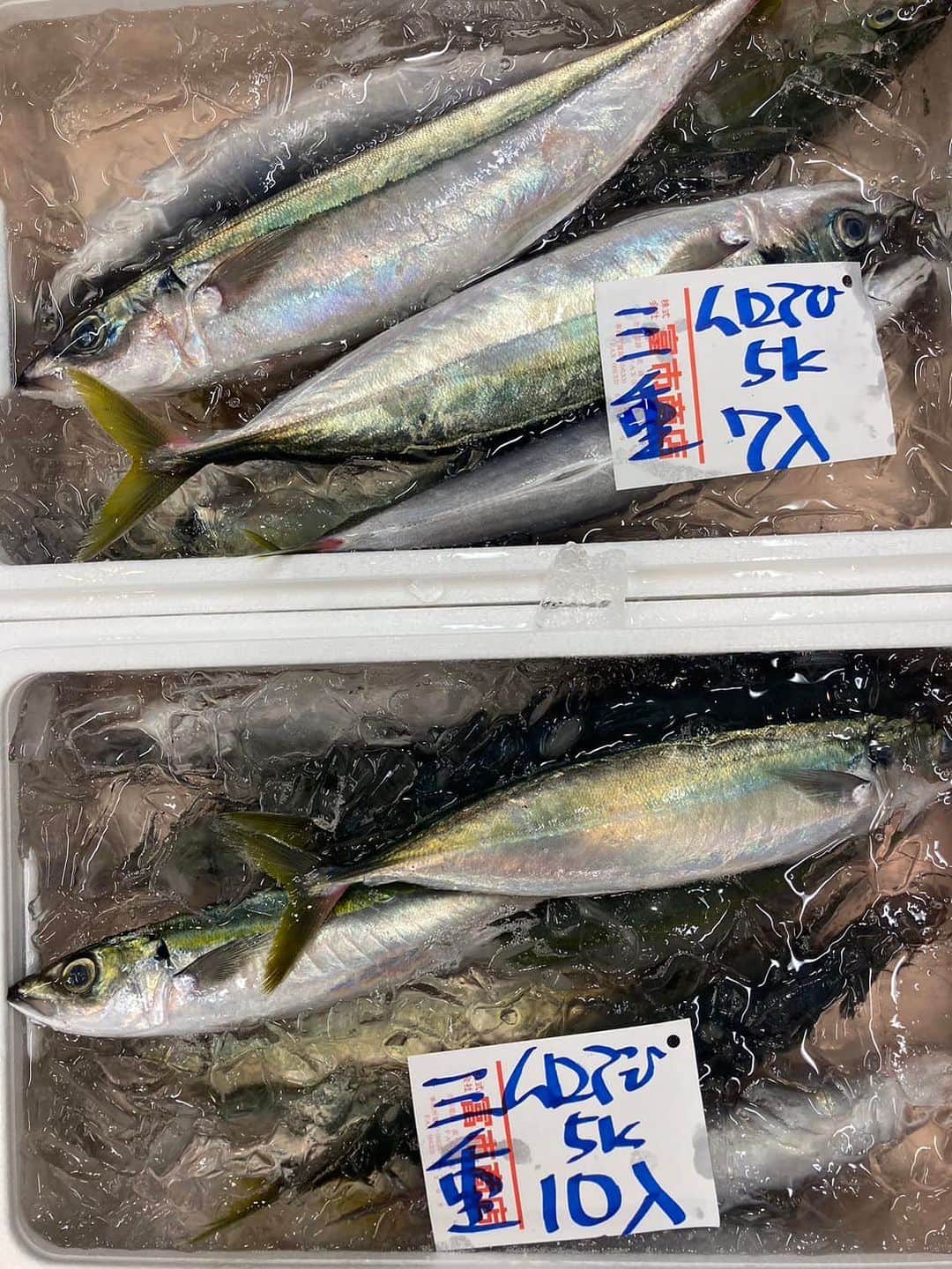 のインスタグラム：「浦安泉銀 本日の魚食え！コノヤロー！！！」