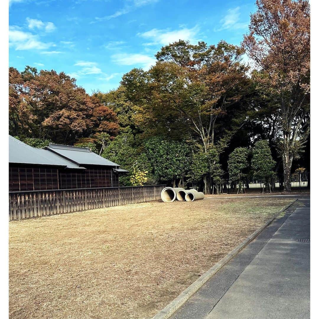 のインスタグラム：「土管の中で本読みたい。」