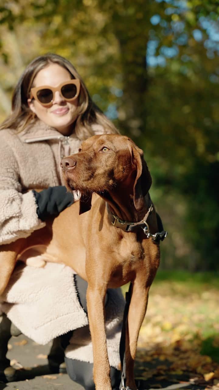 アレクサンドラ・フェルステッドのインスタグラム：「#ad All puppies are truly one in a billion - you just want the absolute best for them. Like many new pet owners I went crazy following social media accounts in the first weeks of Pedro’s life but the amount of conflicting information quickly became overwhelming.  The first few months of a puppy’s life are so crucial to their long-term development so it’s really important that the advice you are following comes from experts who truly understand your puppy’s unique needs.     Recently I’ve been speaking to @royalcanin_uk about its amazing work and research. They have over 50 years of expertise in science-based pet nutrition so as a puppy or dog owner you can have the reassurance of knowing that by giving your dog Royal Canin you are giving them absolutely everything they need to optimise their development.    Visit the ‘One in a Billion’ campaign for expert advice on everything from feeding to reading your puppy’s body language.    #OneinaBillion #RoyalCanin」