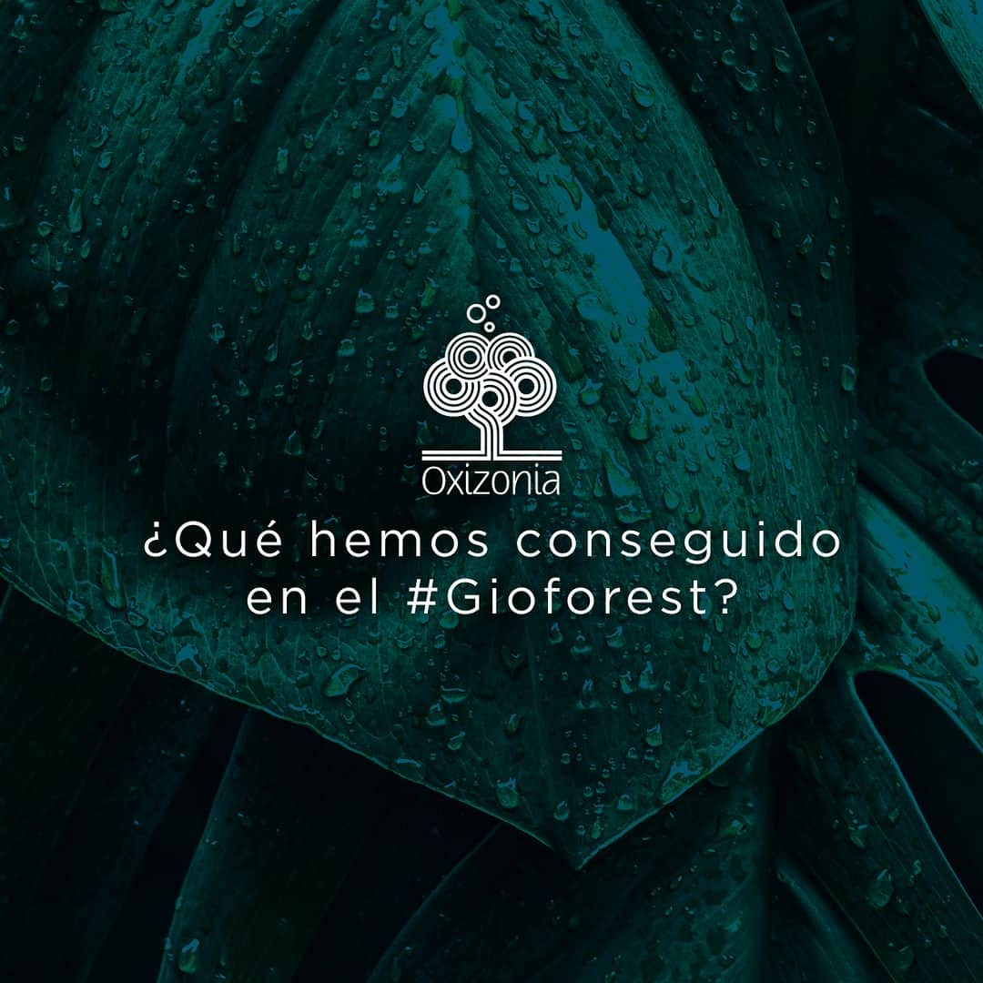 ジオセッポさんのインスタグラム写真 - (ジオセッポInstagram)「La Selva Amazónica ahora cuenta con 50.000 árboles más 🌳 ¿Conoces el #Gioforest?  Nos aliamos a Oxizonia para apadrinar 80 hectáreas de tierra, recuperar la vegetación perdida y proteger las más de 3.000 especies que allí habitan. Así nació un sueño que ahora se ha hecho realidad.  ¡Desliza para conocer todo lo que hemos conseguido desde entonces! ____  The Amazon Rainforest now has 50,000 more trees 🌳 Do you know the #GioForest?  We teamed up with Oxizonia to sponsor 80 hectares of land, recover the lost vegetation and protect the more than 3,000 species that live there. Thus was born a dream that has now become a reality.  Scroll down to find out what we have achieved since then!  #Gioseppo #HaveANiceWorld」11月24日 4時00分 - gioseppo_official