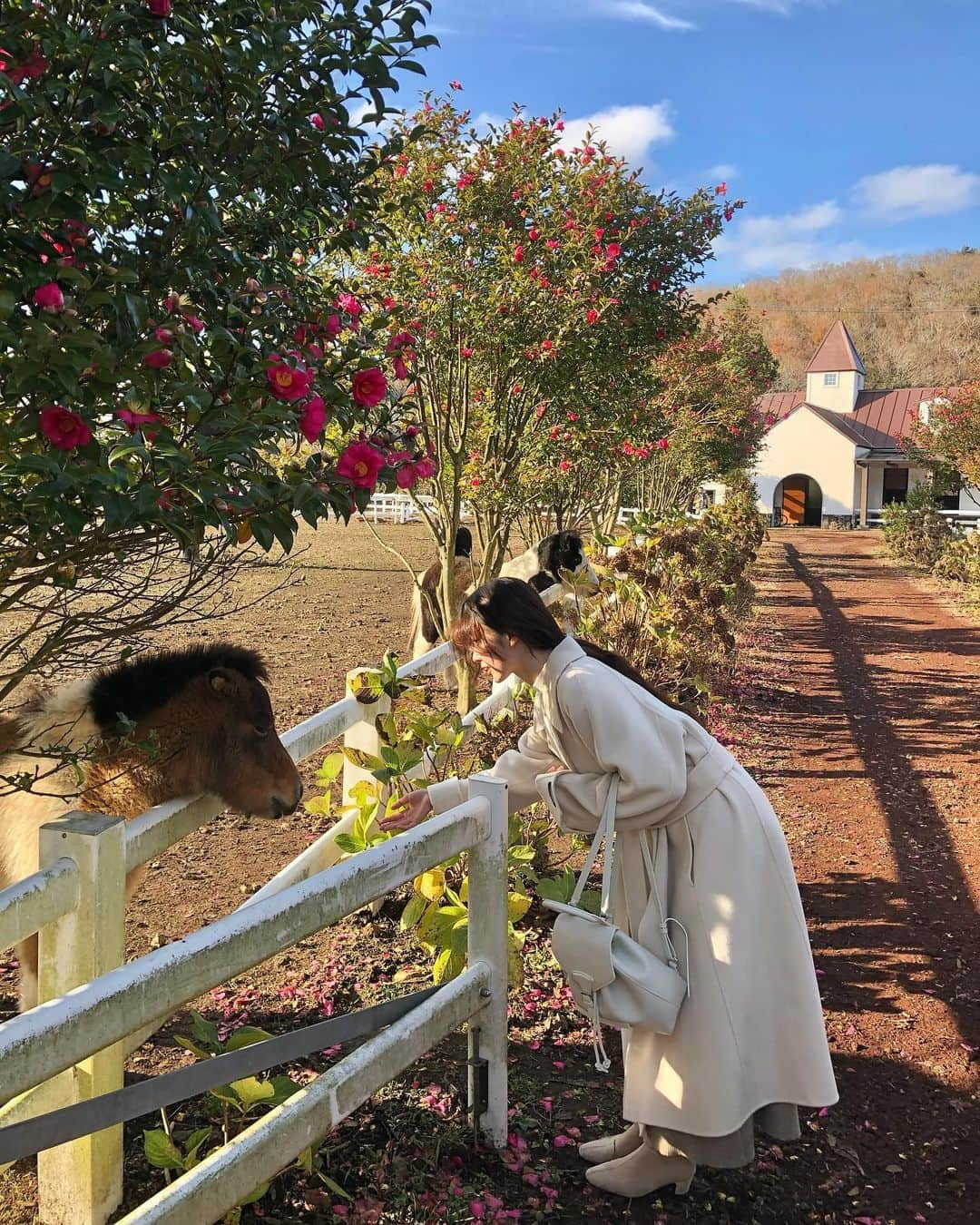 キム・ナヒさんのインスタグラム写真 - (キム・ナヒInstagram)「제주 사진 낄끼해볼게요 ••🌺🏡🌳」11月23日 19時00分 - knhs2