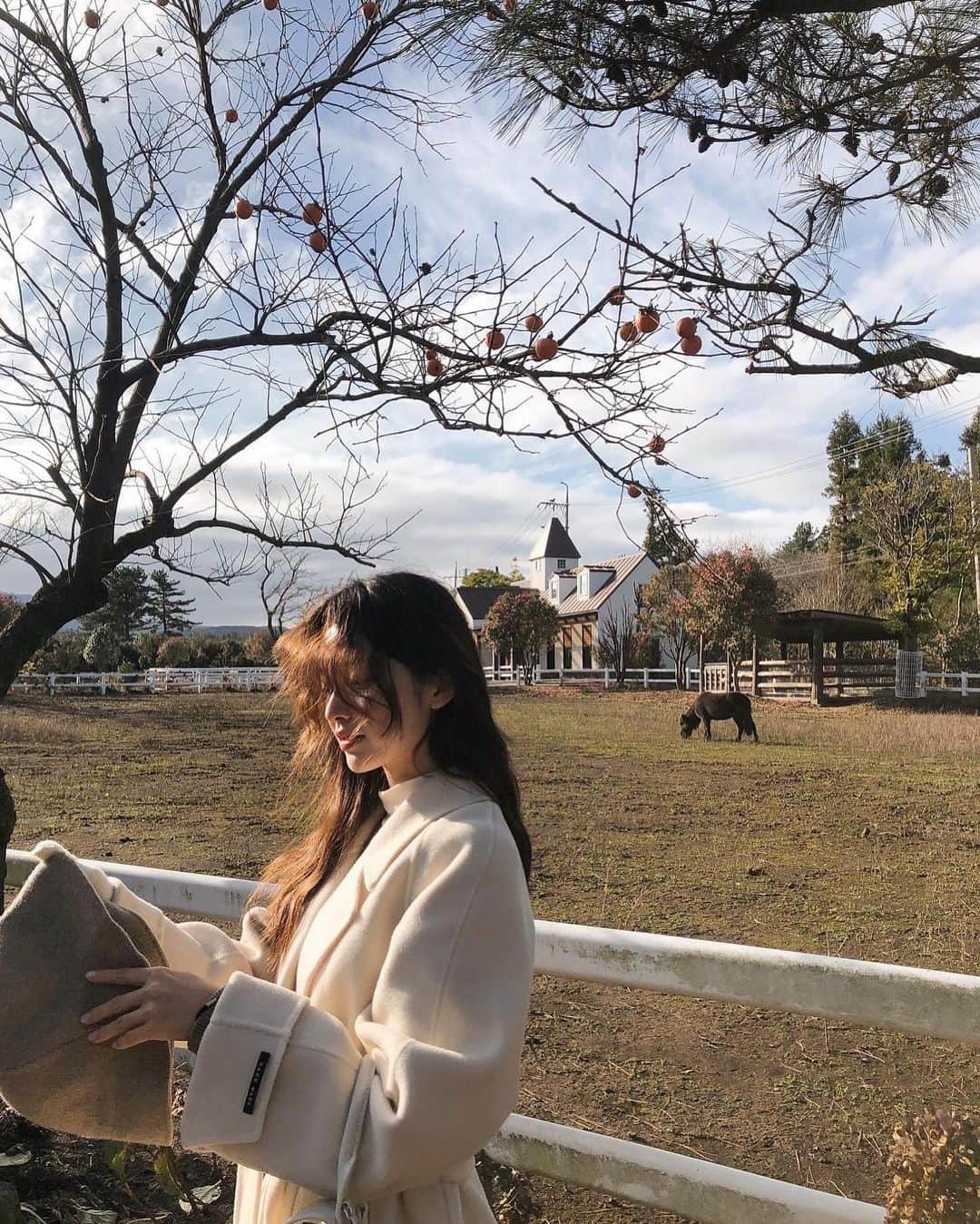 キム・ナヒさんのインスタグラム写真 - (キム・ナヒInstagram)「제주 사진 낄끼해볼게요 ••🌺🏡🌳」11月23日 19時00分 - knhs2