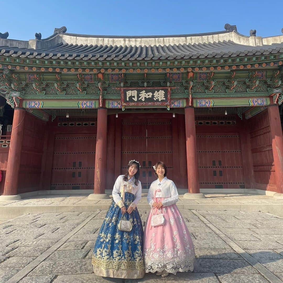 日高優希さんのインスタグラム写真 - (日高優希Instagram)「11月26日(日)の#新潟一番サンデープラス は 新潟空港から直行便で