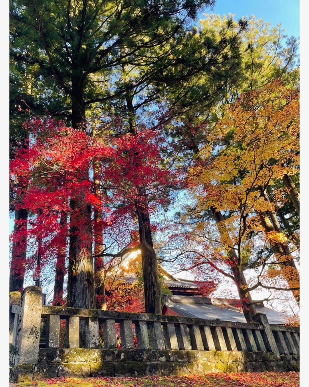 水野愛日さんのインスタグラム写真 - (水野愛日Instagram)「秋旅行🍁🍂  #日光  #中禅寺湖  #日光東照宮  #華厳の滝   紅葉が見たかったけど、盛りの時期を一週間外しちゃいました🥲 そしてめちゃくちゃ寒かった😳  でも、リフレッシュできて満足🥰   #水野愛日」11月23日 19時24分 - mizunomanabi